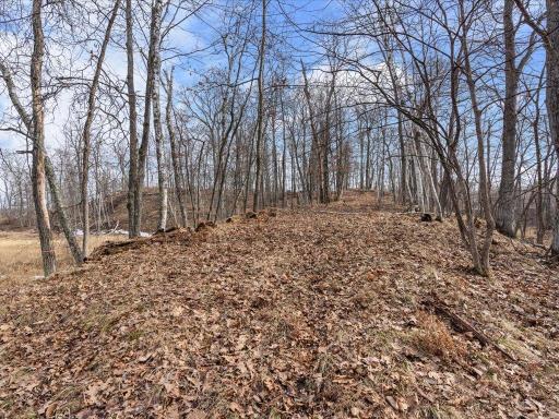 TBD Whitstrom RD, Nisswa, MN 56468
