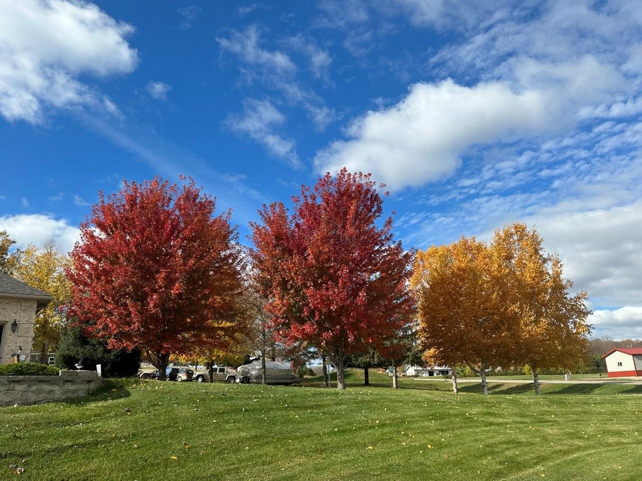 37-Fall foliage (2).jpg