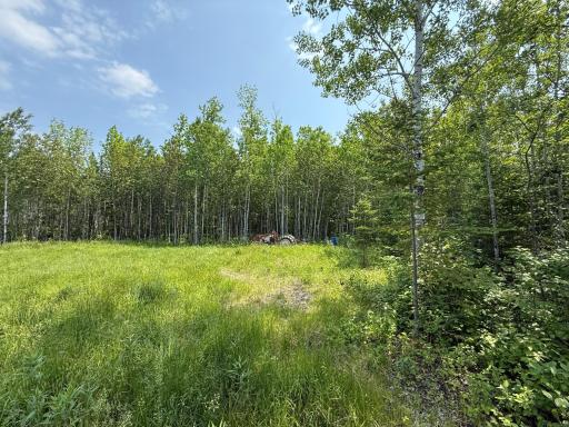 Photo for 2425 HWY 217, Ray, MN 56669 - Listing #6678480 2425 HWY 217, Ray, MN 56669