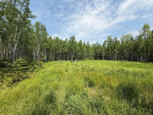 Photo for 2425 HWY 217, Ray, MN 56669 - Listing #6678480 2425 HWY 217, Ray, MN 56669