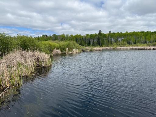 Photo for 2425 HWY 217, Ray, MN 56669 - Listing #6678480 2425 HWY 217, Ray, MN 56669