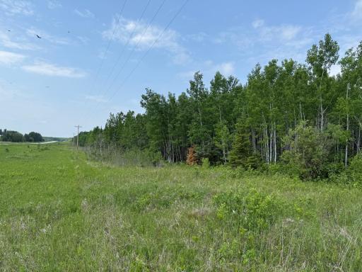 Photo for 2425 HWY 217, Ray, MN 56669 - Listing #6678480 2425 HWY 217, Ray, MN 56669