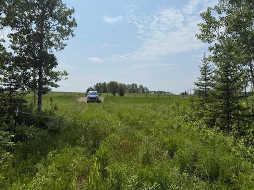 Photo for 2425 HWY 217, Ray, MN 56669 - Listing #6678480 2425 HWY 217, Ray, MN 56669