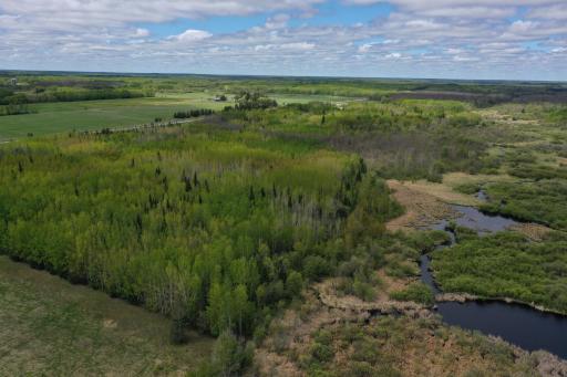 2425 HWY 217, Ray, MN 56669