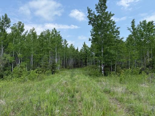 Photo for 2425 HWY 217, Ray, MN 56669 - Listing #6678480 2425 HWY 217, Ray, MN 56669