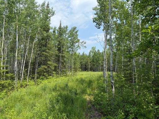 Photo for 2425 HWY 217, Ray, MN 56669 - Listing #6678480 2425 HWY 217, Ray, MN 56669