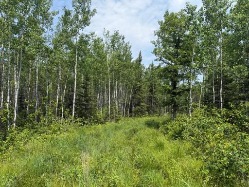 Photo for 2425 HWY 217, Ray, MN 56669 - Listing #6678480 2425 HWY 217, Ray, MN 56669