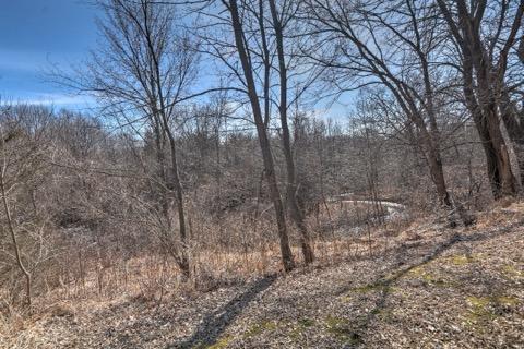 8664 Whisper Creek Trail, Rockford, MN 55373