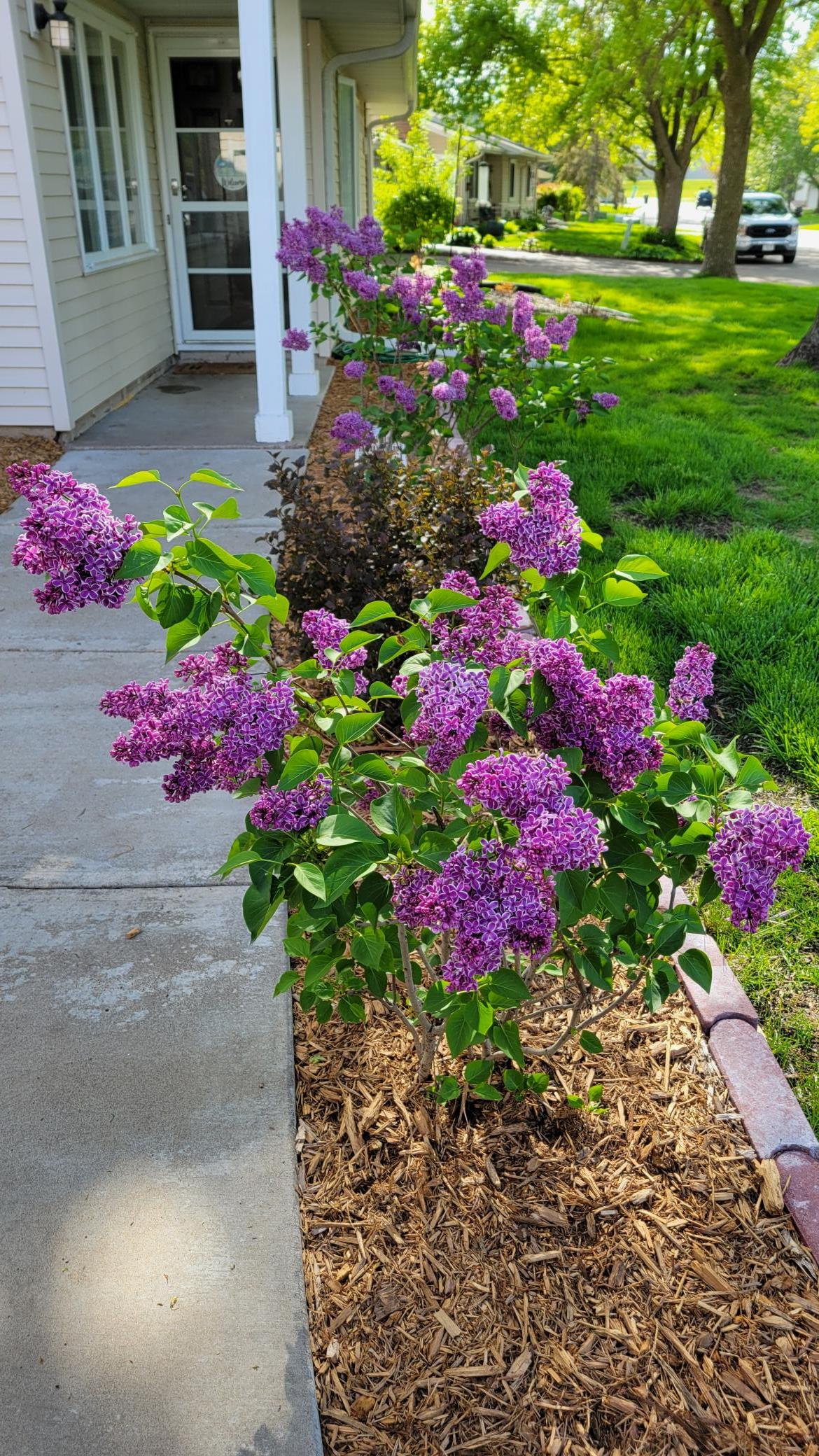 Beautiful landscaping around the home.jpg