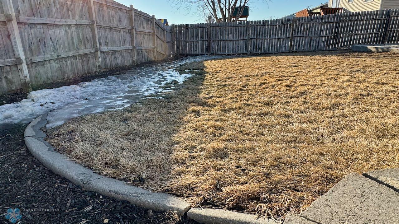 (54) Backyard Landscaping Current.jpeg