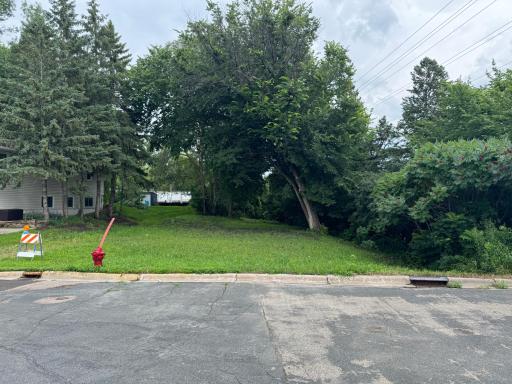 409 S Orange Street, Waconia, MN 55387