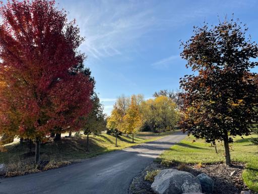 6405 Hillstrom Road, Maple Plain, MN 55359