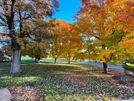 6405 Hillstrom Road, Maple Plain, MN 55359