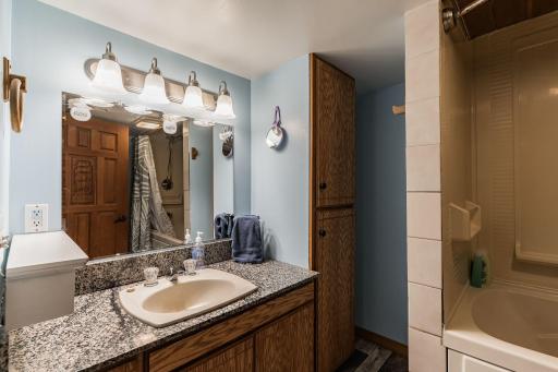 4845_Royal_River_Road_Braham_MN_55006-2763-Bathroom-028.jpg