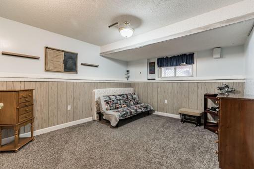 4845_Royal_River_Road_Braham_MN_55006-2763-Living_room-021.jpg