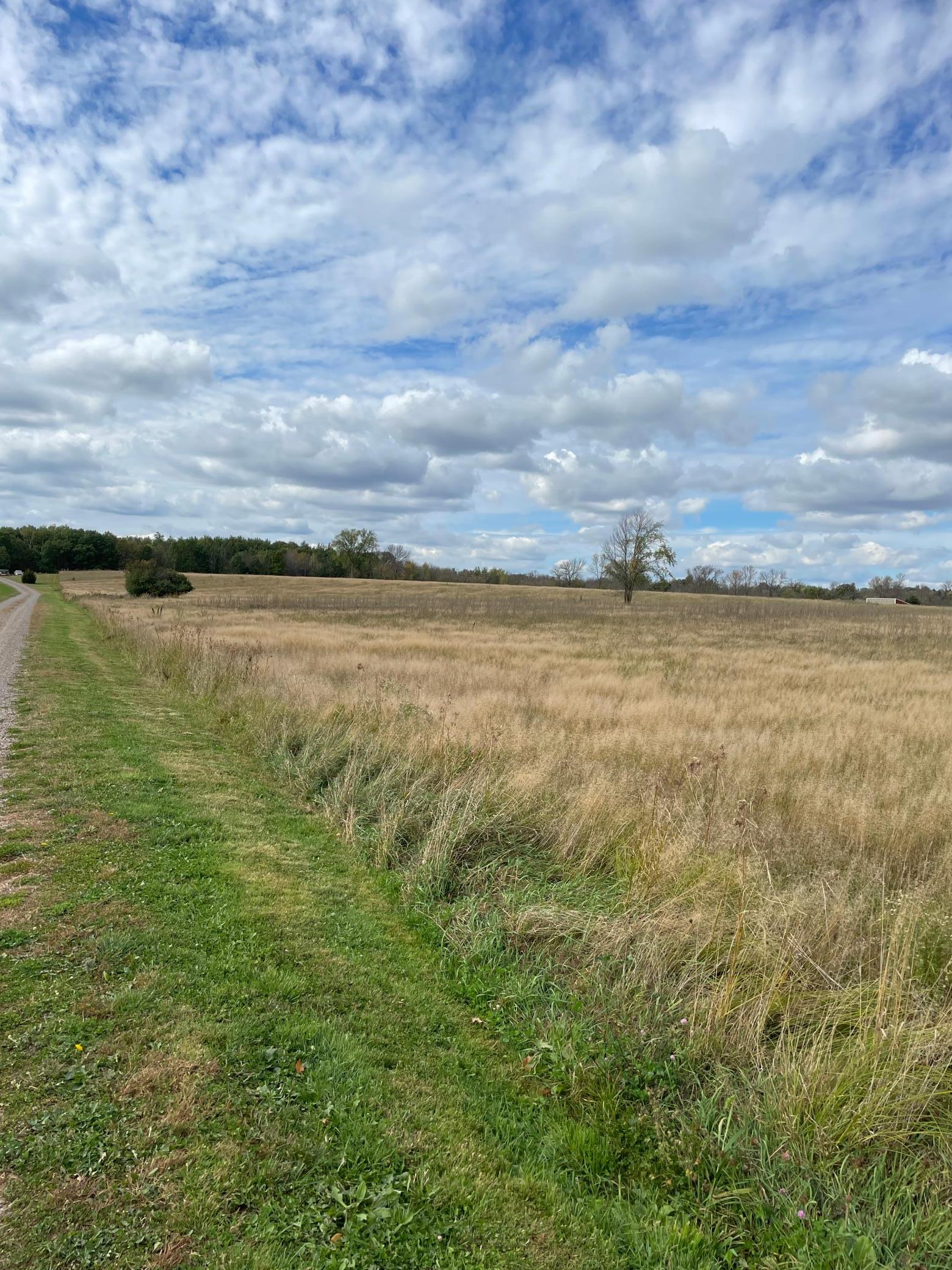 Property South Boundary