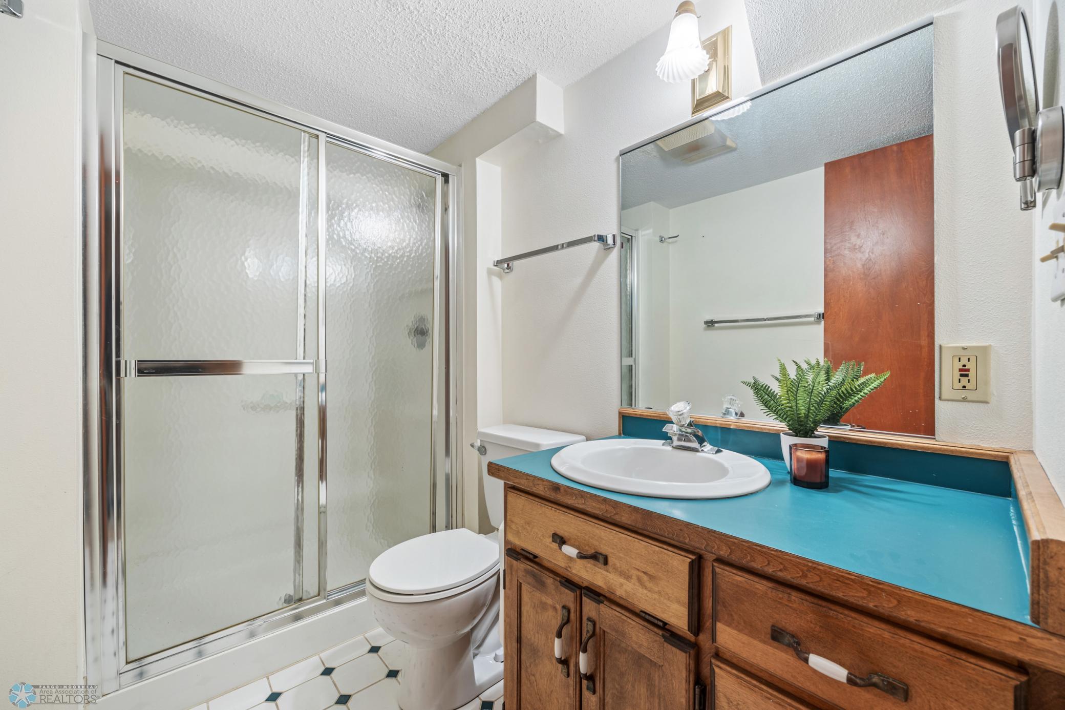 Lower Level 3/4 Bathroom