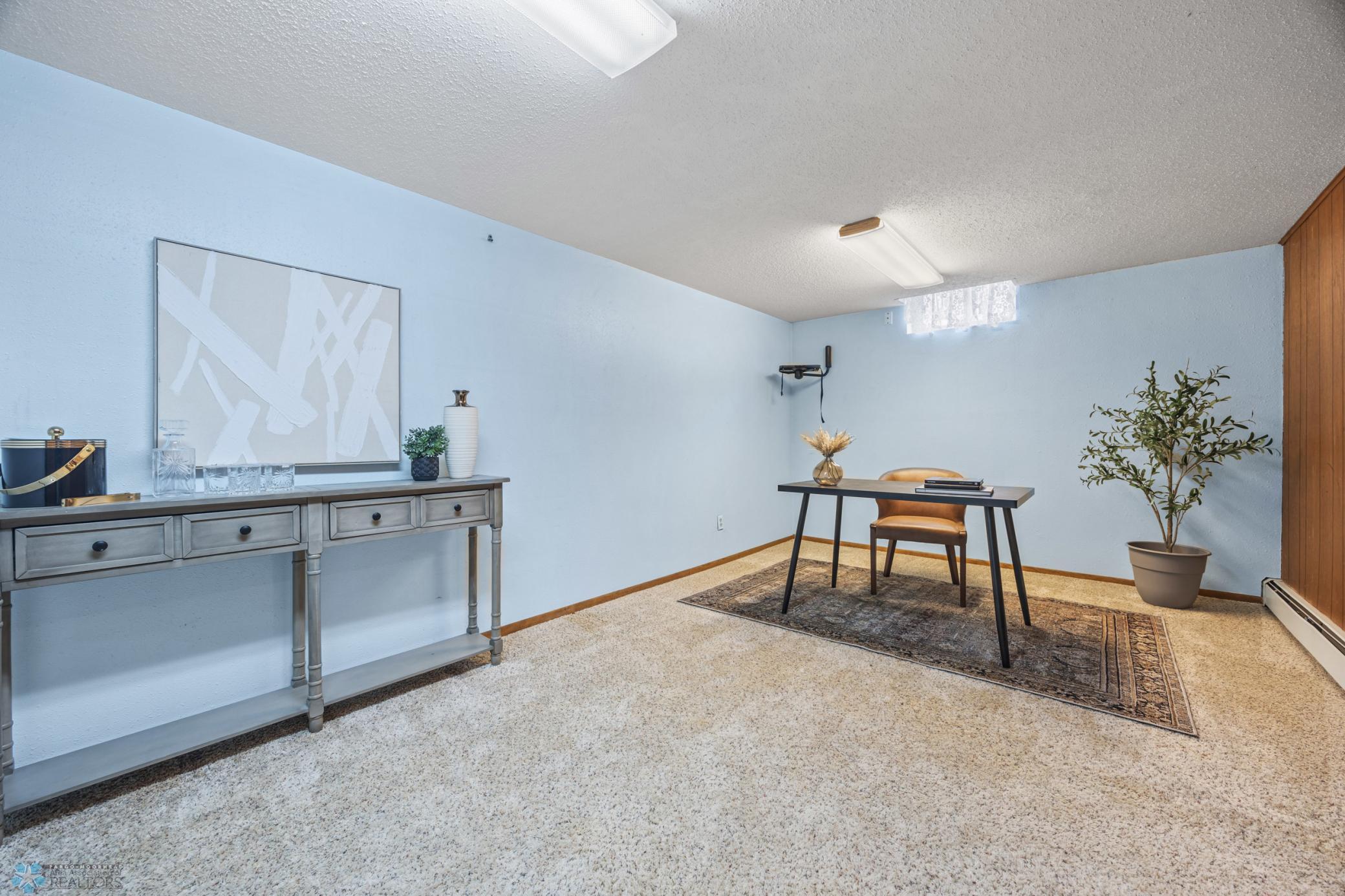 Lower Level Flex Space