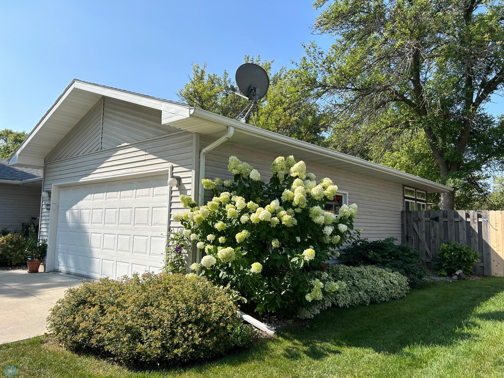 Landscaping - Summer