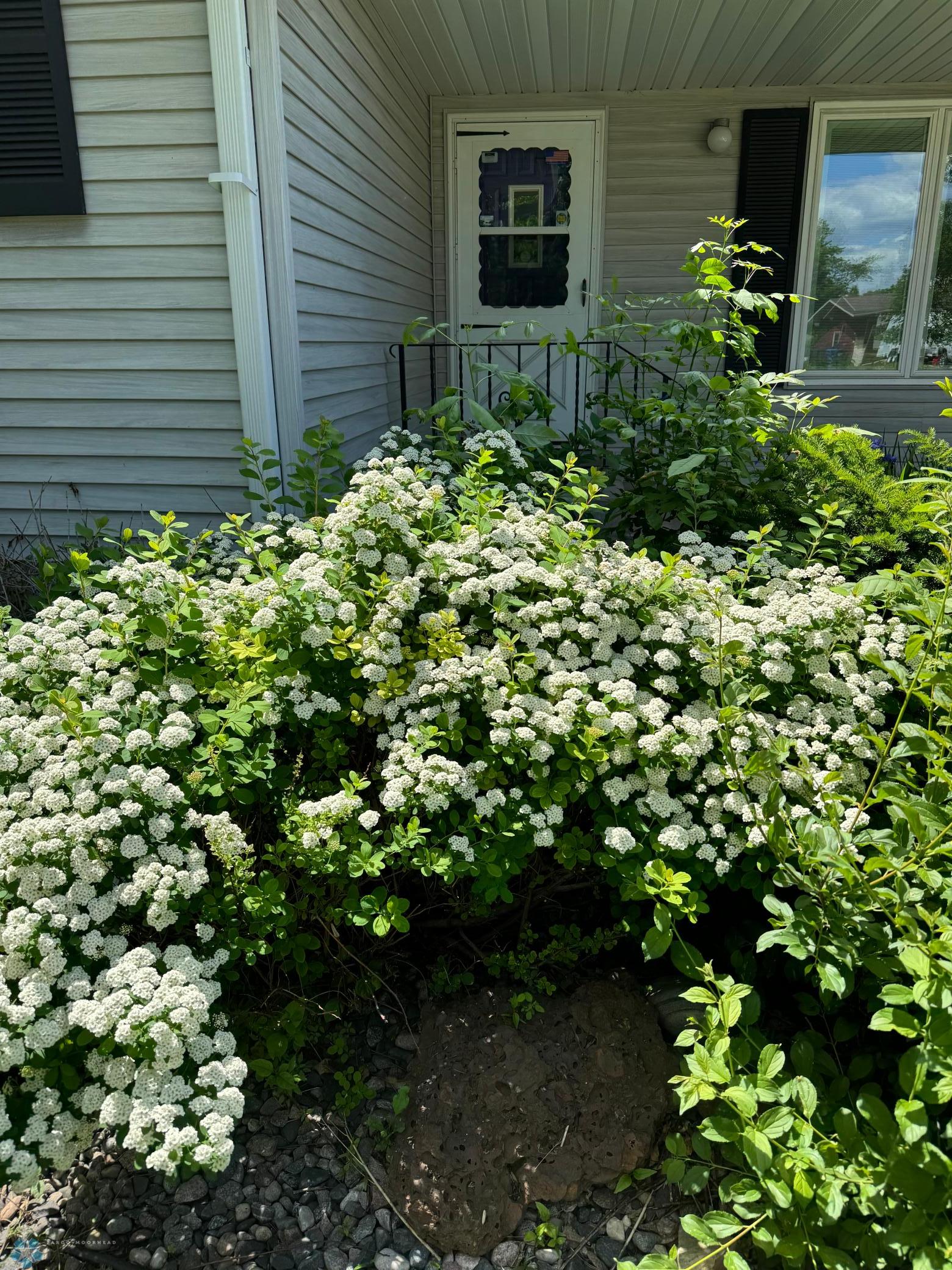 Landscaping Summer