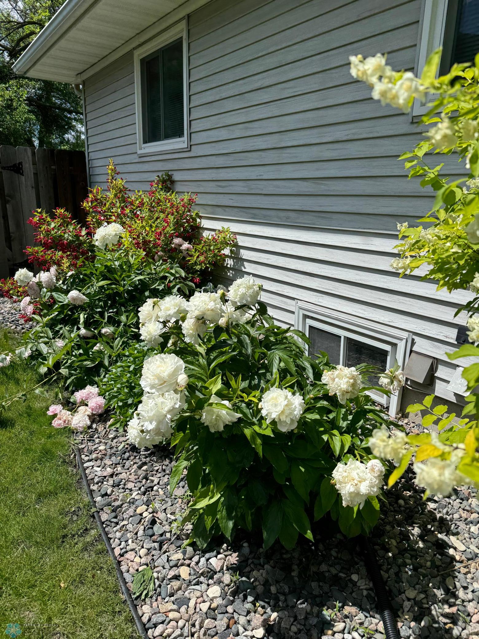 Landscaping Summer