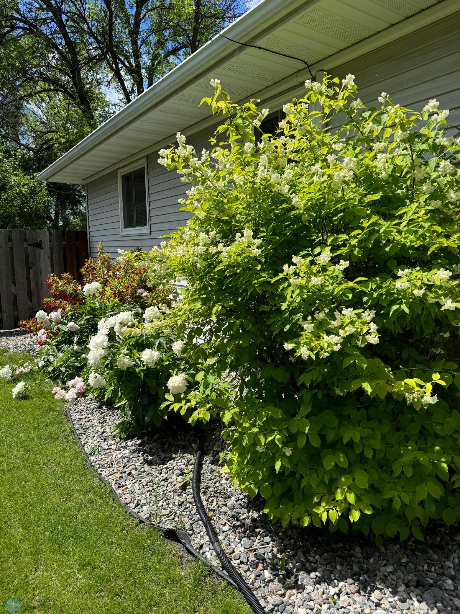 Landscaping Summer