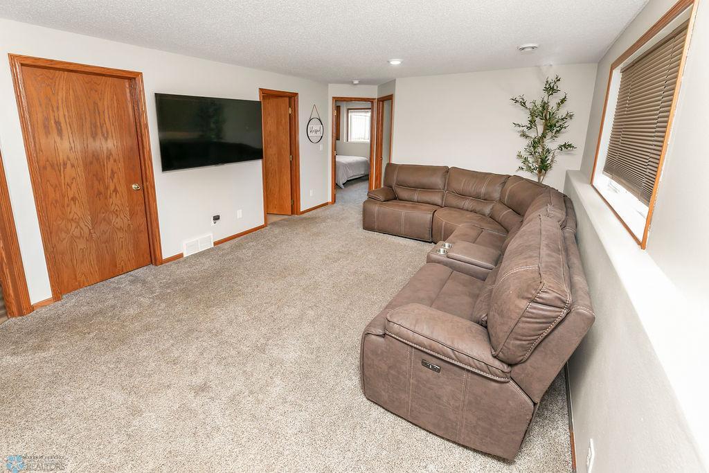 Lower level Family Room