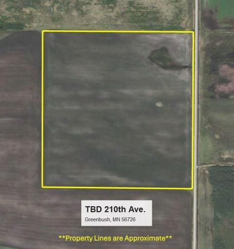 TBD 210th Avenue, Greenbush, MN 56726