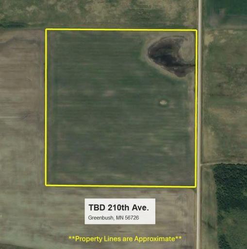 TBD 210th Avenue, Greenbush, MN 56726