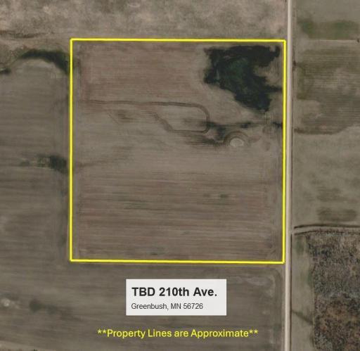 TBD 210th Avenue, Greenbush, MN 56726
