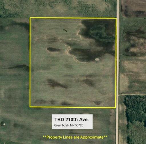 TBD 210th Avenue, Greenbush, MN 56726