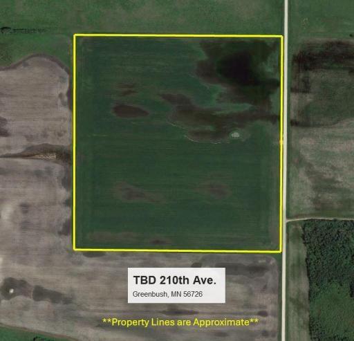 TBD 210th Avenue, Greenbush, MN 56726