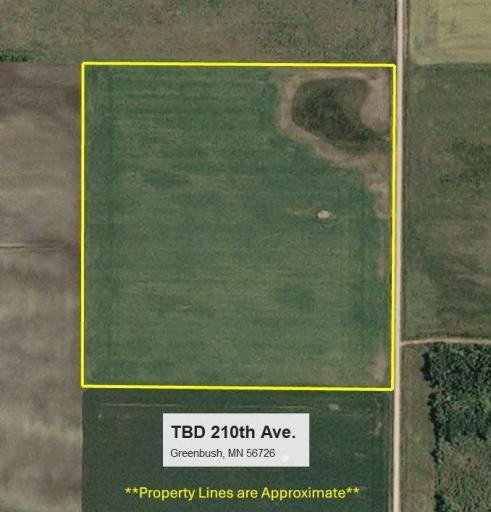 TBD 210th Avenue, Greenbush, MN 56726