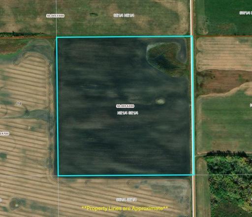 TBD 210th Avenue, Greenbush, MN 56726