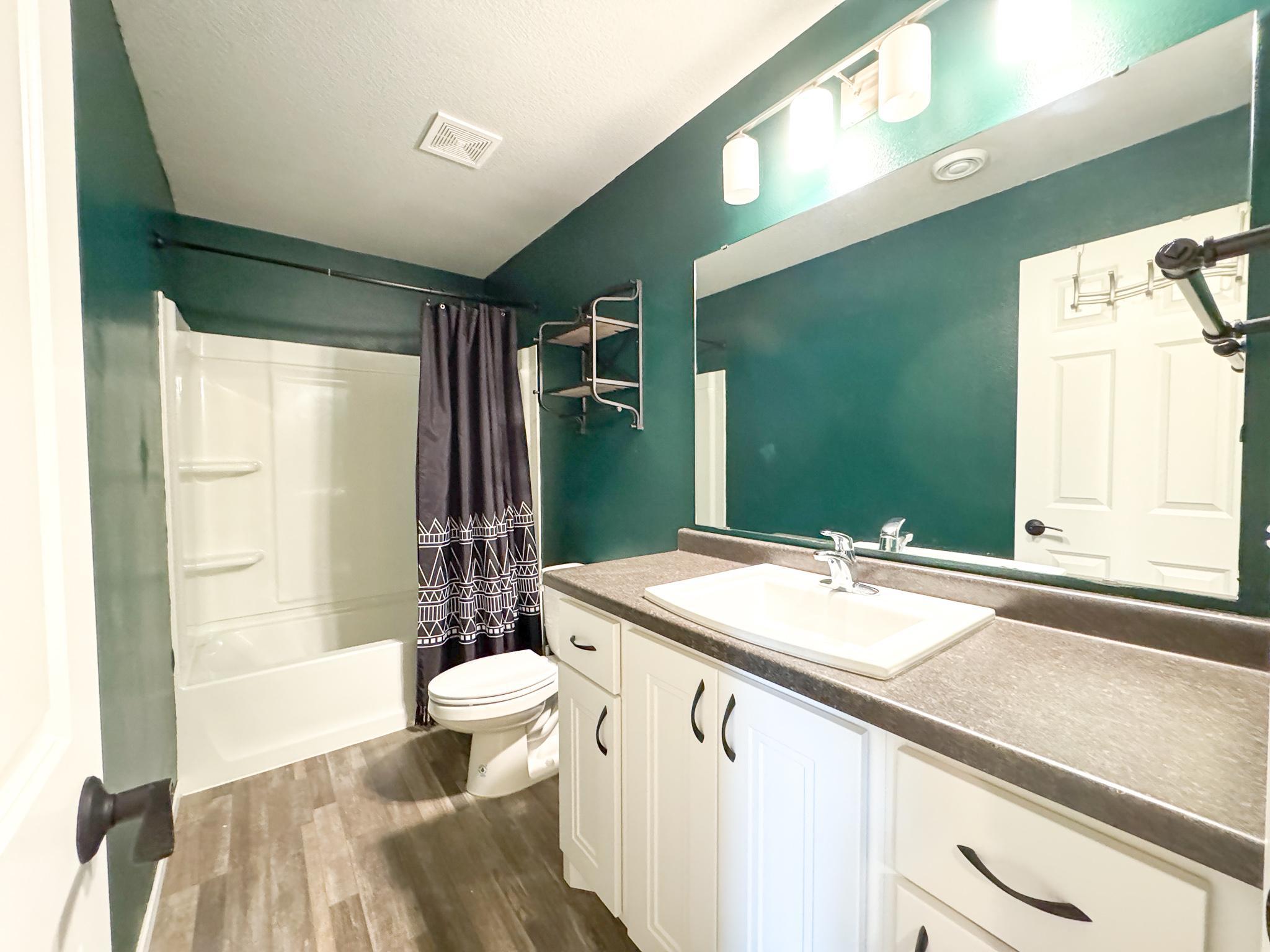 Lower Level Bathroom.jpg