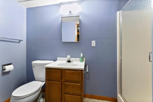 The lower level also features a 3/4 bathroom, providing added convenience for guests or family.