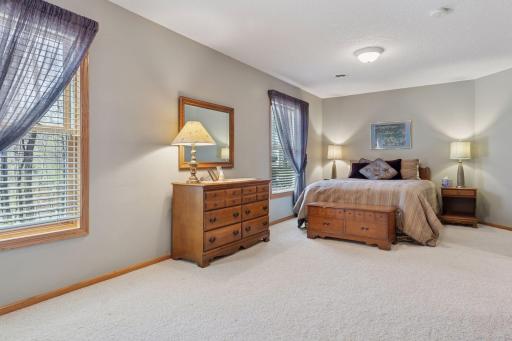 Lower level bedroom