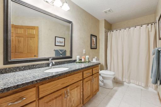 Lower level full bath