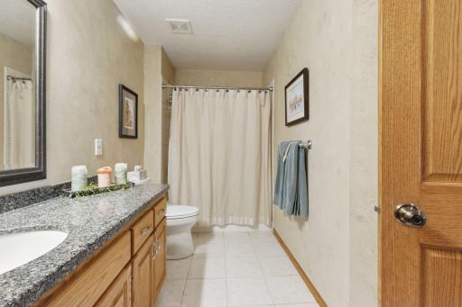 Lower level full bath