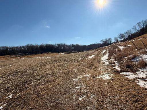 Photo for 19705 County 19, Lanesboro, MN 55949 - Listing #6680442 19705 County 19, Lanesboro, MN 55949