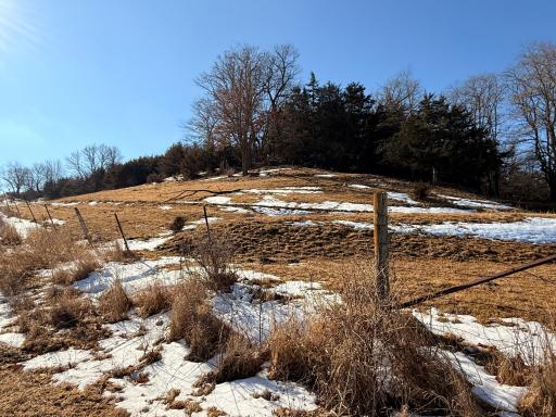 Photo for 19705 County 19, Lanesboro, MN 55949 - Listing #6680442 19705 County 19, Lanesboro, MN 55949