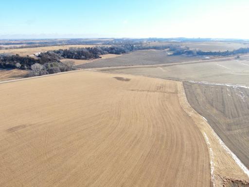 TBD County Road 19, Lanesboro, MN 55949