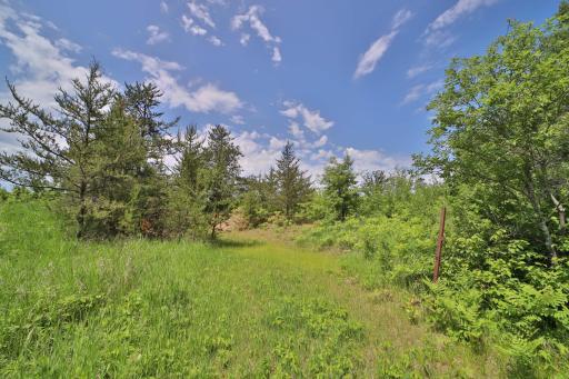 XXX County Road 134, Pine River, MN 56474