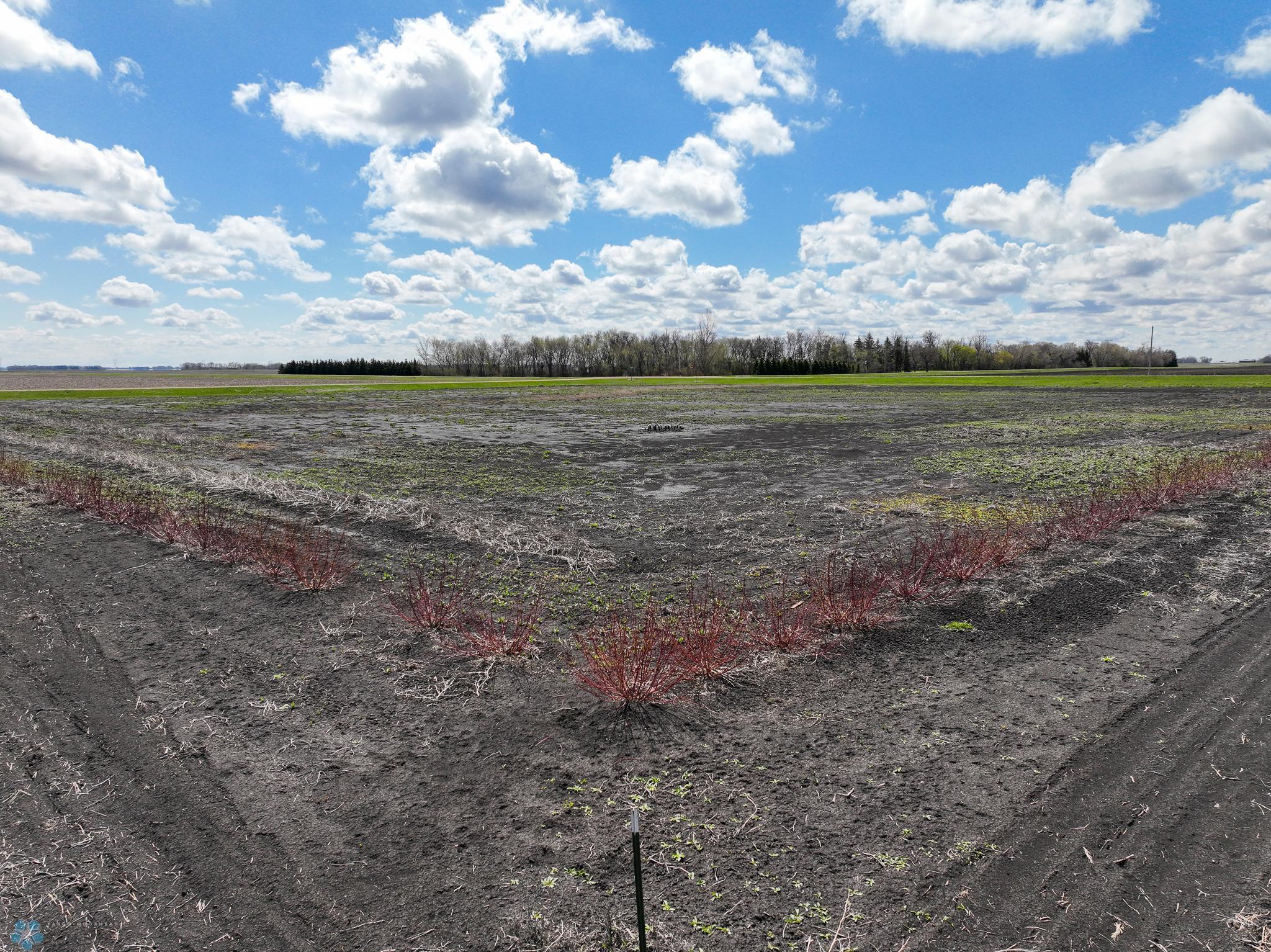 NW Corner Looking SE.jpg