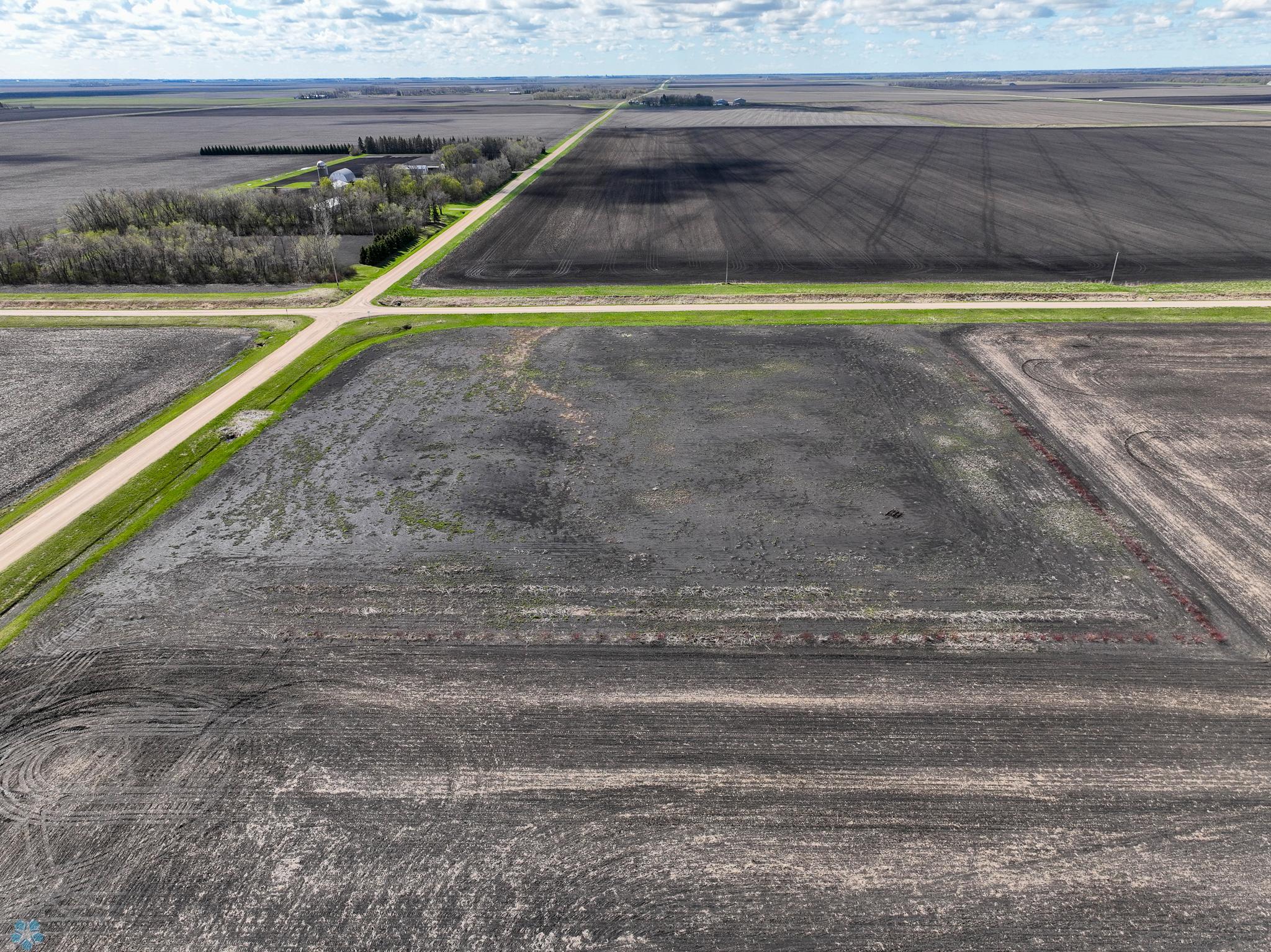 Looking South Center of Property High.jpg