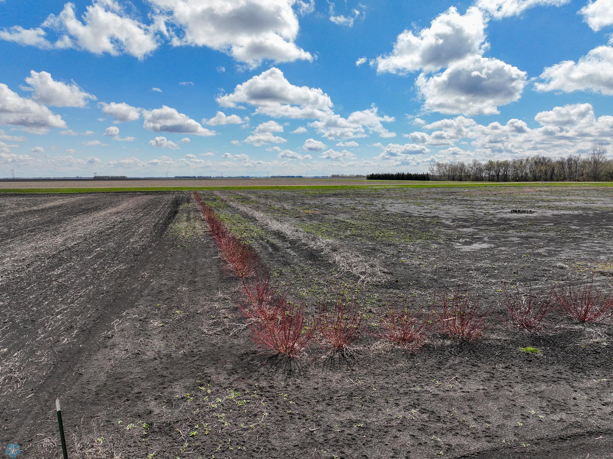 NW Corner Looking East.jpg