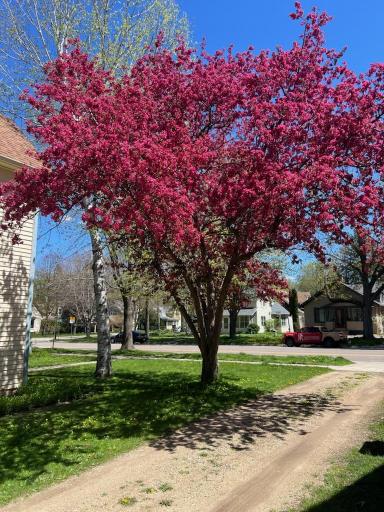 306 Nevada Street, Northfield, MN 55057