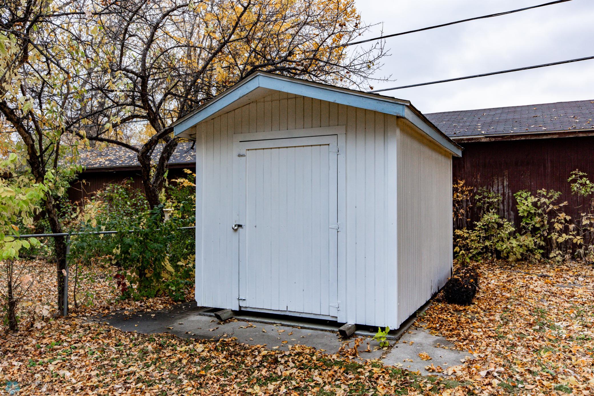 Shed Backyard