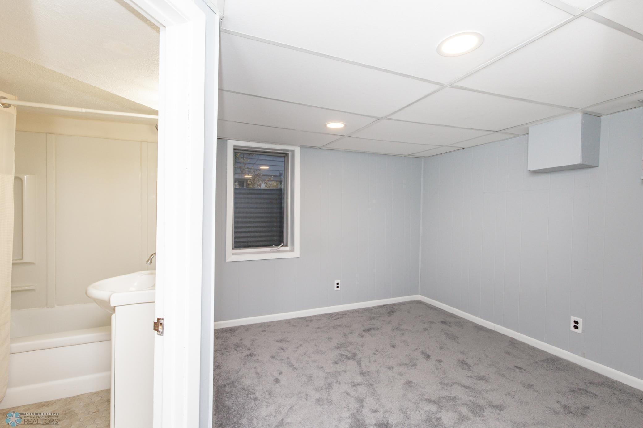 Bonus Flex Room Basement