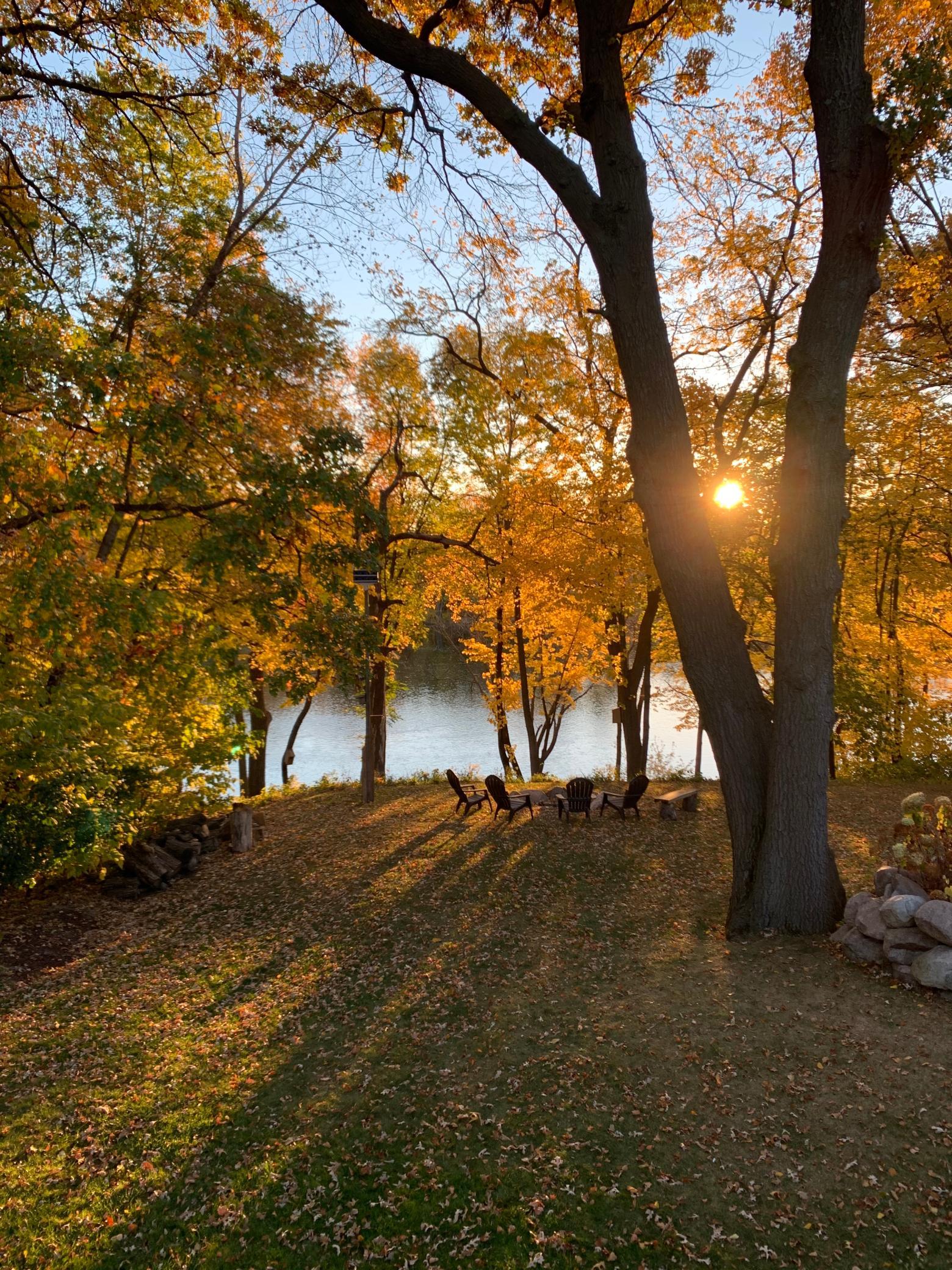 The backyard view is stunning through all seasons